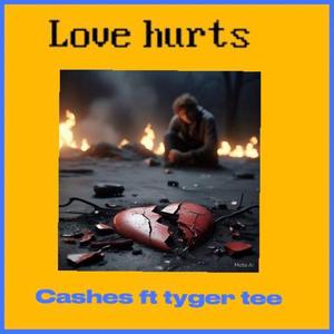 love hurts (feat. Tyger tee)