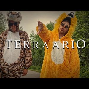 Terraario (feat. Nabbs MC)