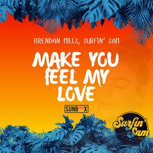 Make you feel my love