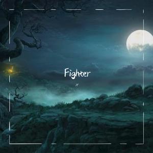 Fighter