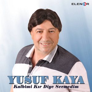 Kalbimi Kır Diye Sevmedim