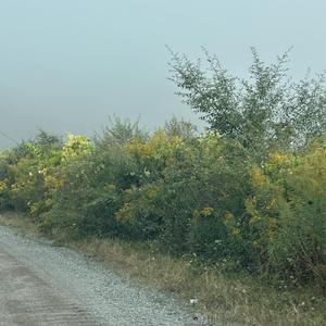 t h e s e f e e l i n g s . . .