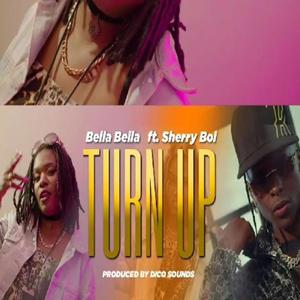 Turn Up (feat. Sherry Boi)