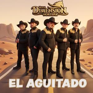 El Aguitado (Huapango)