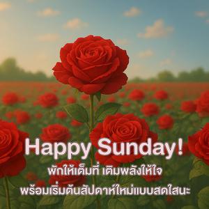 Happy Sunday! พักให้เต็มที่ เติมพลังให้ใจ พร้อมเริ่มต้นสัปดาห์ใหม่แบบสดใสนะ