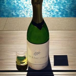 人生不过三杯酒 (Live片段|片段)