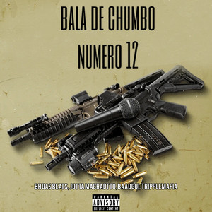 Bala de Chumbo Numero 12