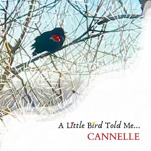 A Little Bird Told Me