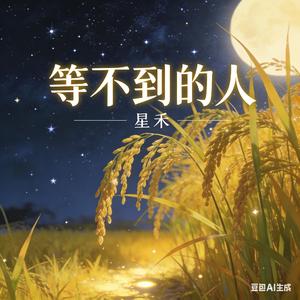 等不到的人_星禾