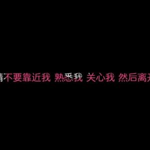 别来烦我