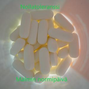 Malmin normipäivä