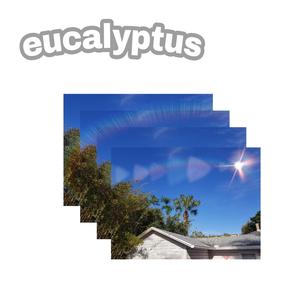 Eucalyptus (Instrumental)