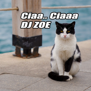 Ciaa Ciaaa