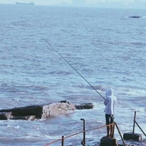 我听见了你孤单