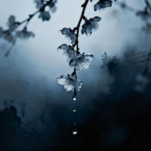 胡音绕别绪 粤语苦情