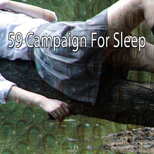 Soaring High With Hope