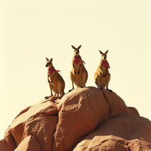 Together by @complexexpressiveness1253