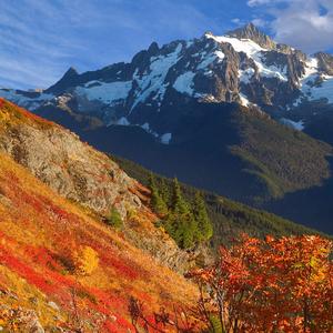 如果真的有来生