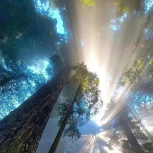 最后给他的信（Demo's version）