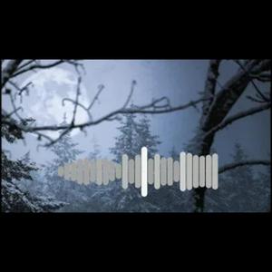 Sidrabina Lietins Lija (winter solstice folk melody)