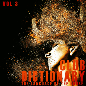 Steam Holes (House Groovin Mix)