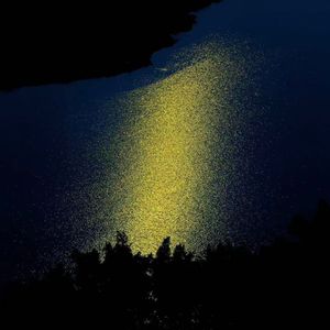 Where the Swans Glide