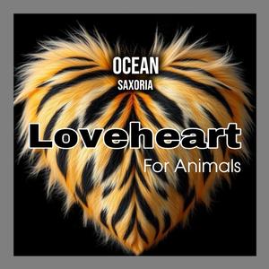 Ocean (Loveheart For Animals)