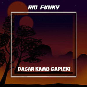 Dasar Kamu Gapleki