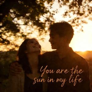 You are the sun in my life（你似骄阳）