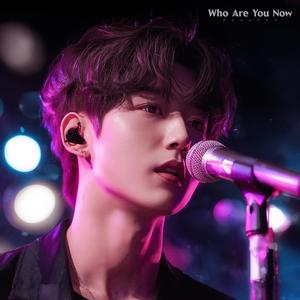 Last Light Fades Out