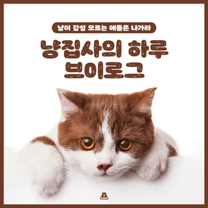 너! 내 집사가 되어라