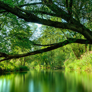 奶油摩卡嘣嘣嚓