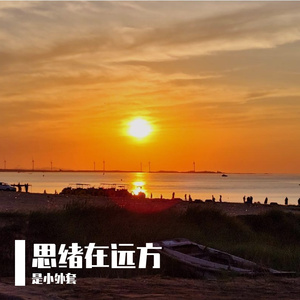 就算失望还不是走在路上 伴奏