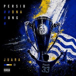 PERSIB