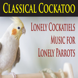 Romantic Cacatuidae Music