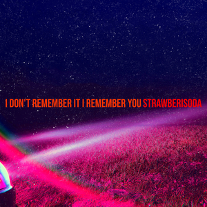 I Don't Remember It I Remember You