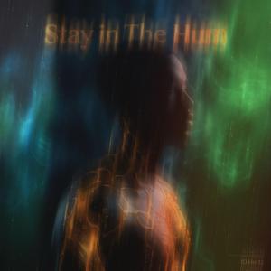 Stay in the Hum