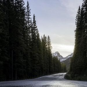 心刻之名与情诗眷恋