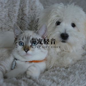 欢宠乐章 (陪伴成长)