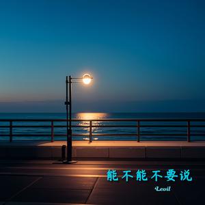 能不能不要说