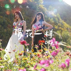 像花一样 (DJ光年版)