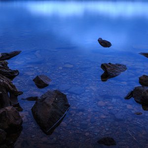 邦邦浪邦邦太魔性了