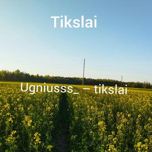 Tikslai
