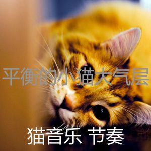 温和小猫梦想
