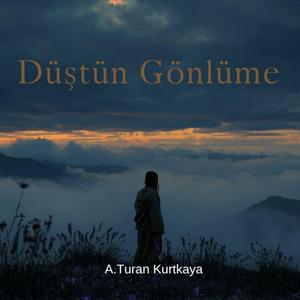 Düştün Gönlüme