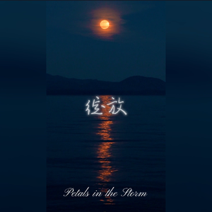 绽放（Cover：郑润泽）