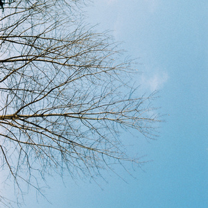 口袋的天空「黄其淋（林墨）」（翻自 张韶涵）