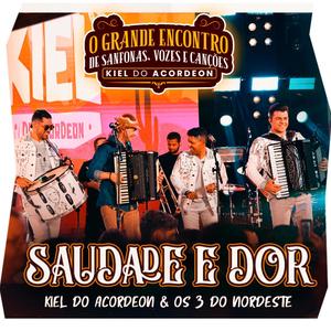 Saudade e Dor (O Grande Encontro de Sanfonas, Vozes e Canções) (Ao Vivo)