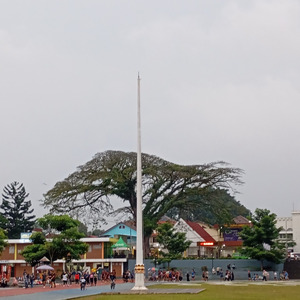 JLM ( Janda lebih memikat )