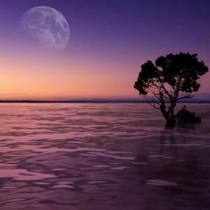 Piano Concerto No.23 K488 II Adagio